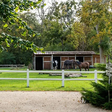 Maison 3 *